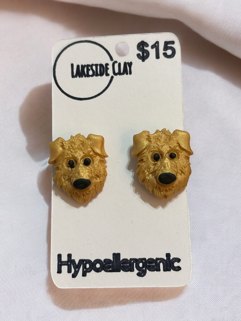 Gold Shepherd Dog Studs