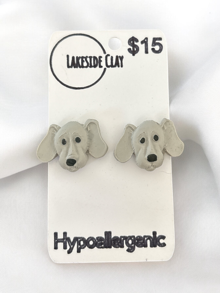 Grey Retriever Dog Studs