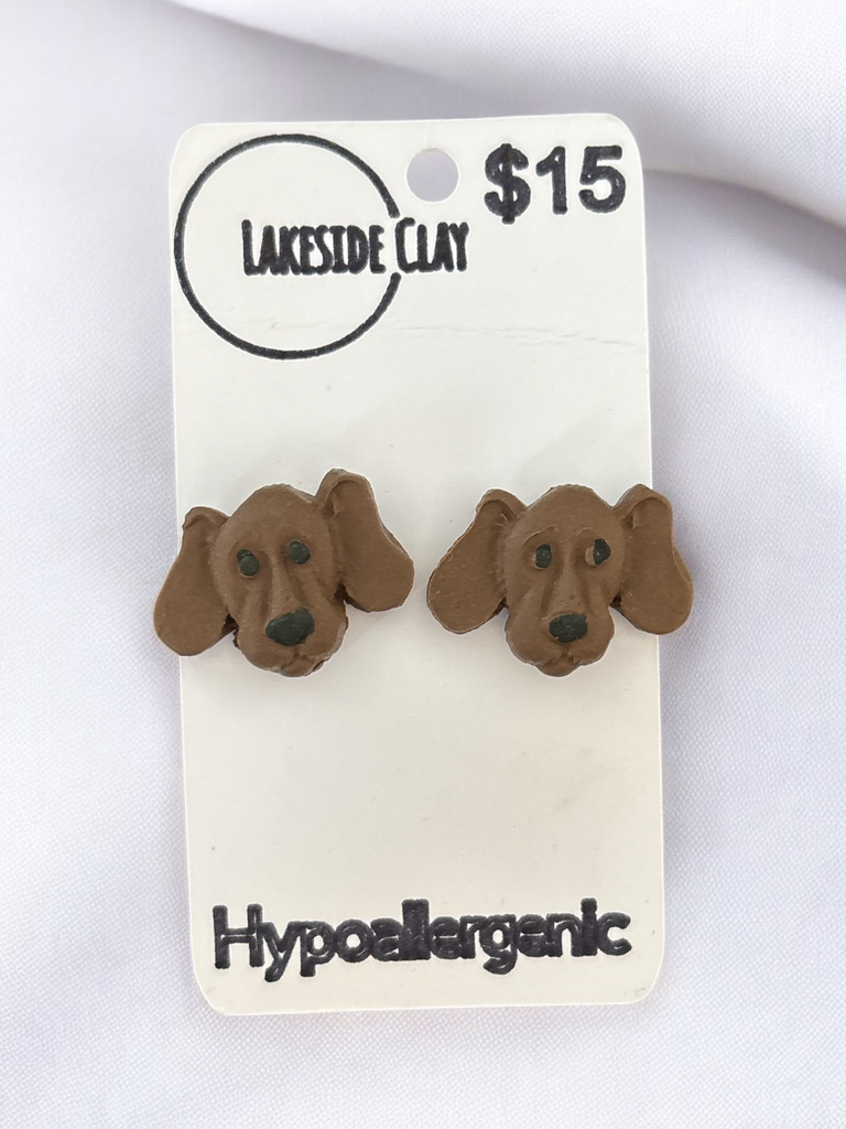 Brown Retriever Dog Studs