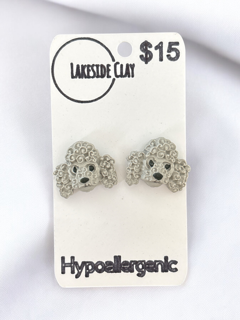 Grey Poodle Studs