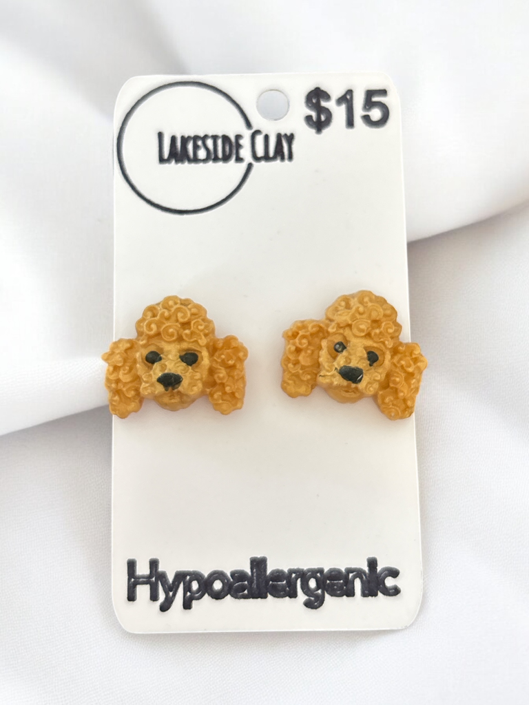 Gold Poodle Studs