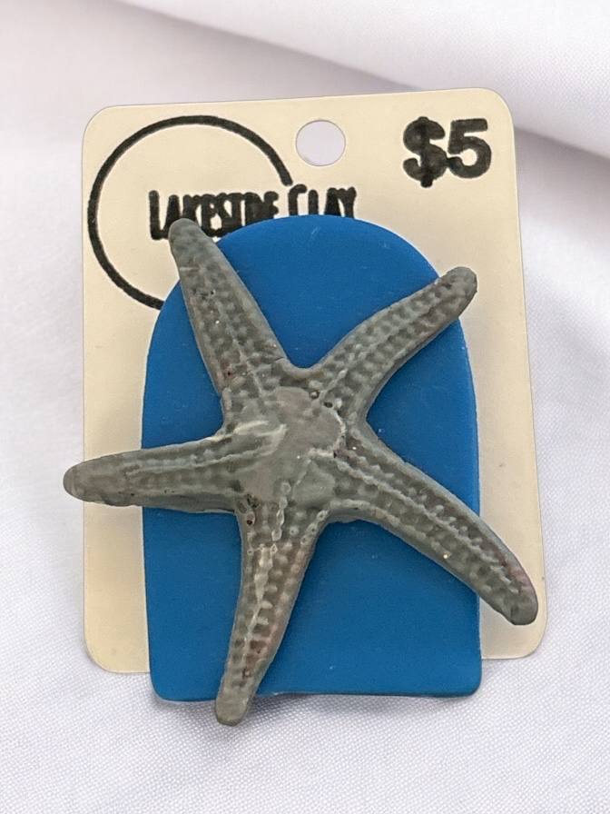 Starfish Magnet